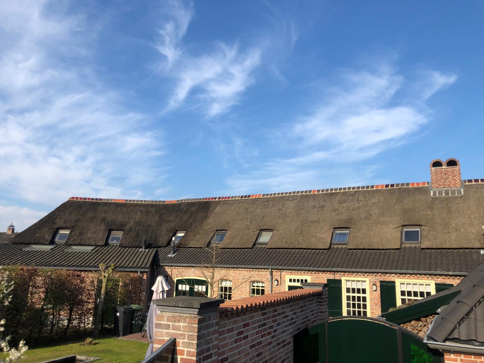 Bestaand rieten dak brandvertragend behandeld in Eext