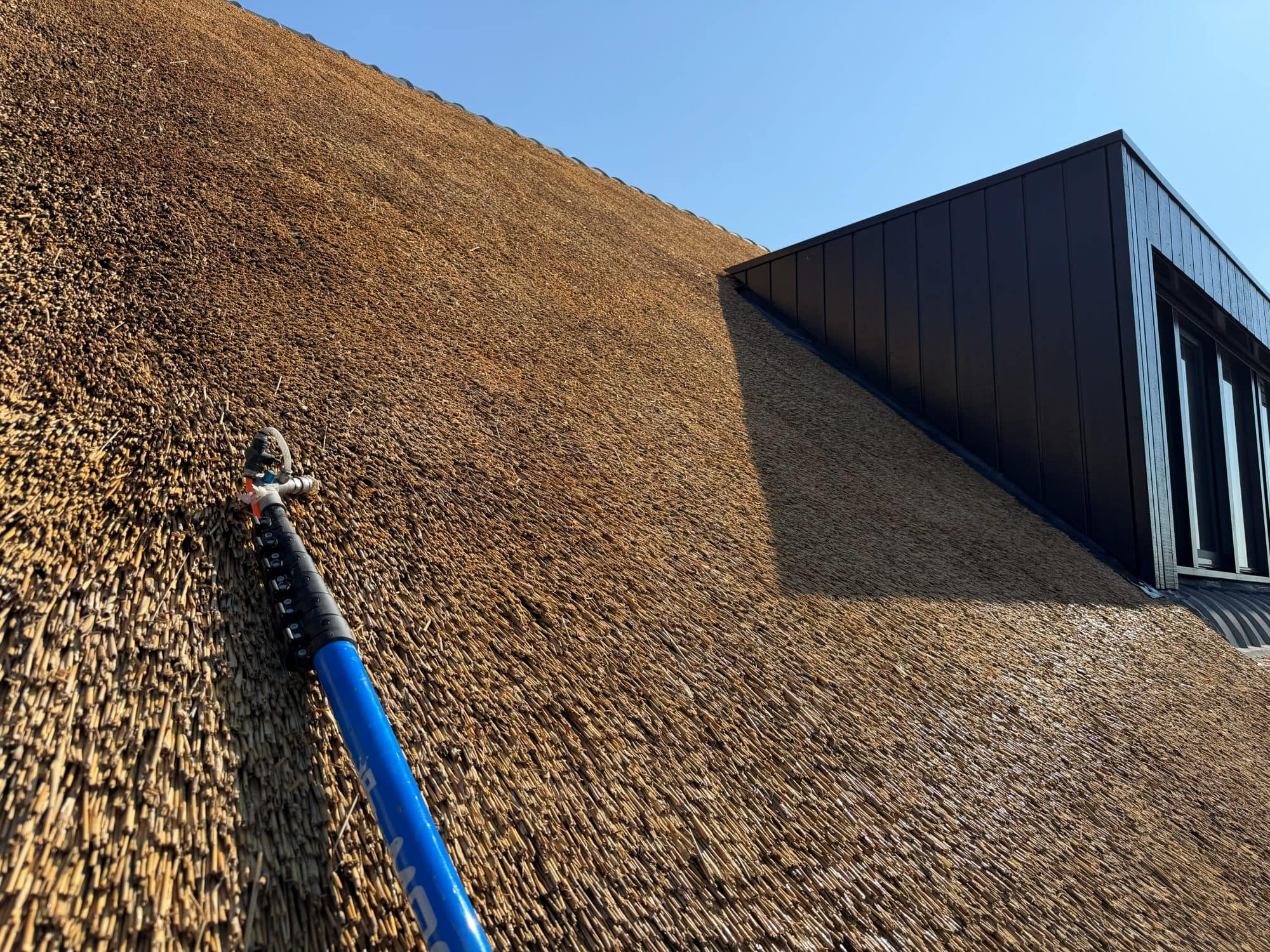 Close-up van de behandeling met de spuitlans